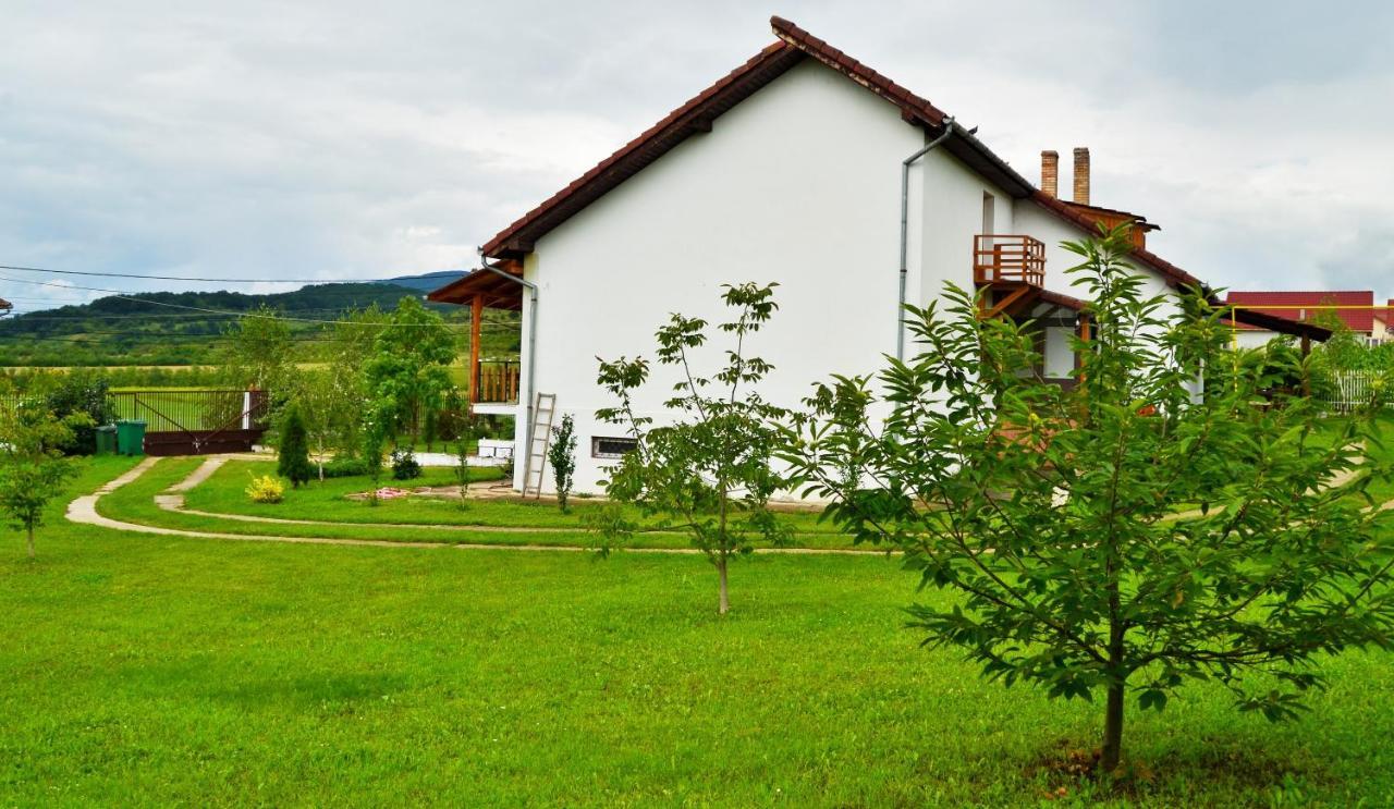 Vila Tara Hategului Buitenkant foto