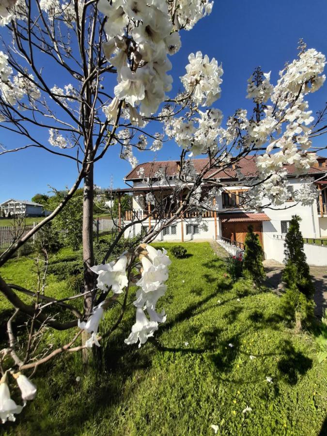 Vila Tara Hategului Buitenkant foto