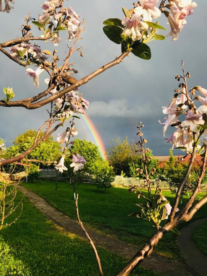 Vila Tara Hategului Buitenkant foto