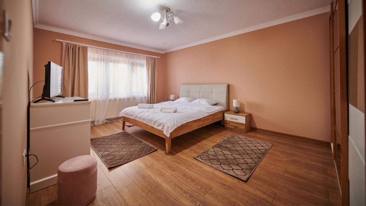Vila Tara Hategului Buitenkant foto