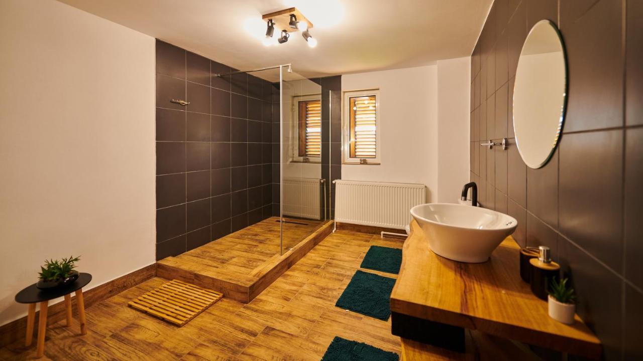 Vila Tara Hategului Buitenkant foto
