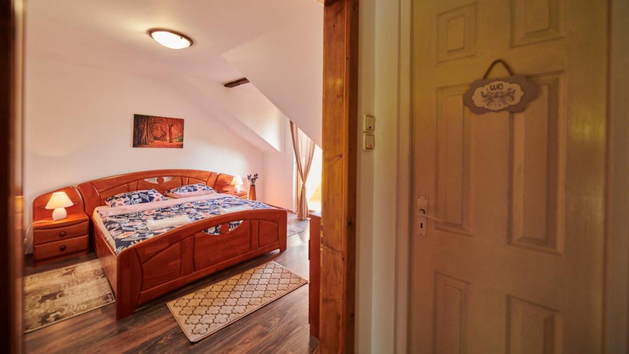 Vila Tara Hategului Buitenkant foto
