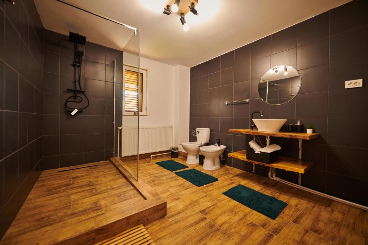 Vila Tara Hategului Buitenkant foto