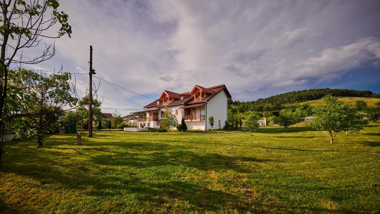 Vila Tara Hategului Buitenkant foto