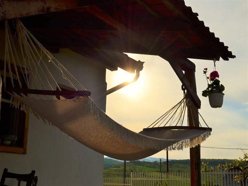 Vila Tara Hategului Buitenkant foto
