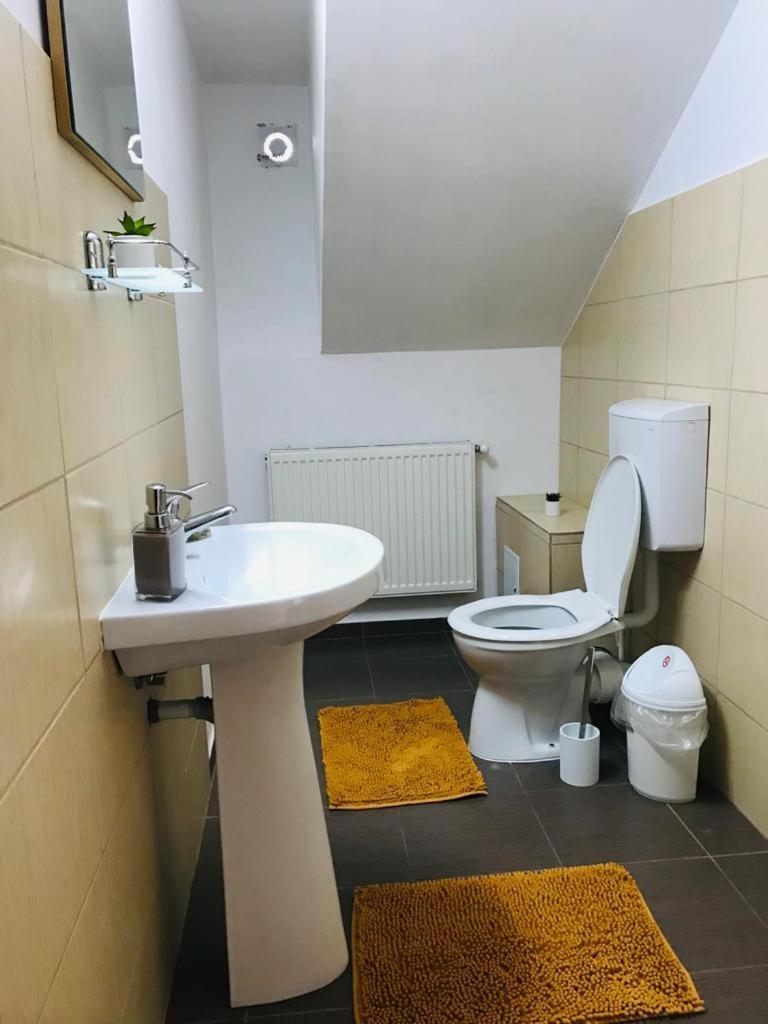 Vila Tara Hategului Kamer foto