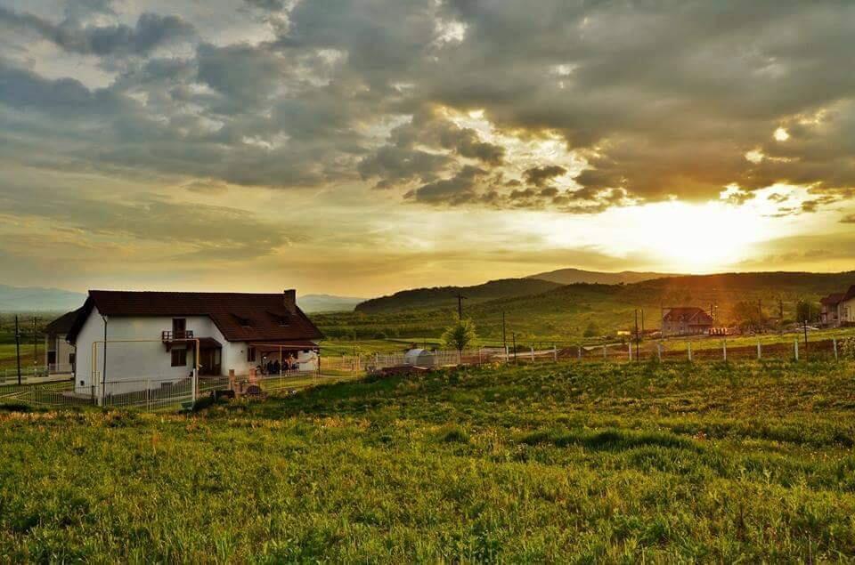 Vila Tara Hategului Buitenkant foto