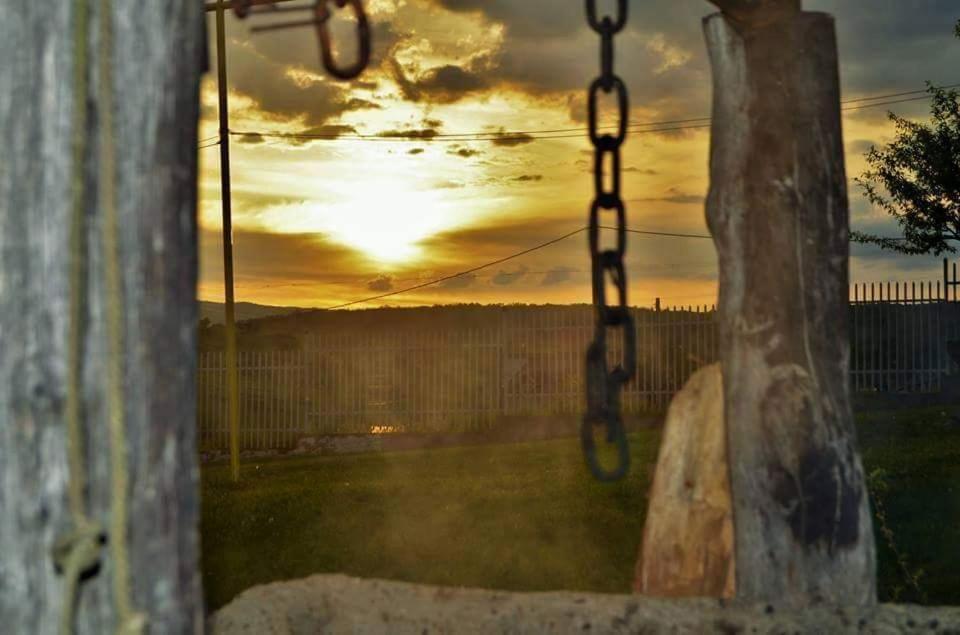 Vila Tara Hategului Buitenkant foto